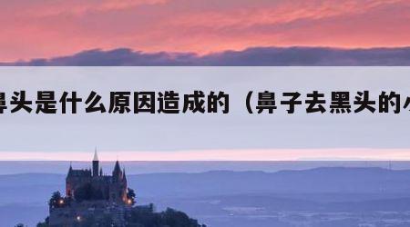黑鼻头是什么原因造成的（鼻子去黑头的小妙招）