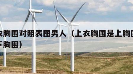 上衣胸围对照表图男人（上衣胸围是上胸围还是下胸围）