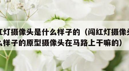 闯红灯摄像头是什么样子的（闯红灯摄像头是什么样子的原型摄像头在马路上干嘛的）