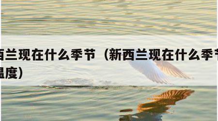 新西兰现在什么季节（新西兰现在什么季节什么温度）