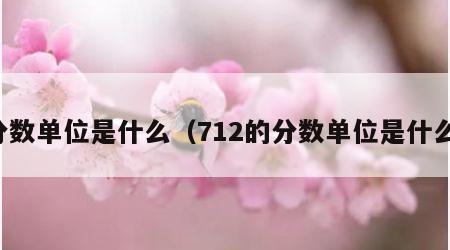 分数单位是什么（712的分数单位是什么）