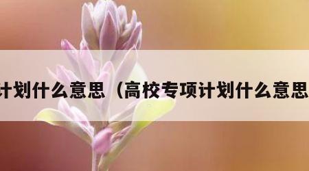 计划什么意思（高校专项计划什么意思）