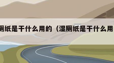 湿厕纸是干什么用的（湿厕纸是干什么用的?）