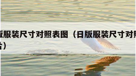日版服装尺寸对照表图（日版服装尺寸对照表图片）