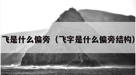 飞是什么偏旁（飞字是什么偏旁结构）