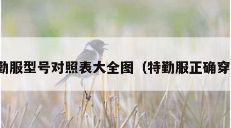 特勤服型号对照表大全图（特勤服正确穿戴）