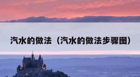 汽水的做法（汽水的做法步骤图）