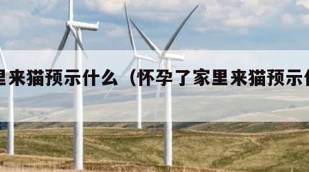家里来猫预示什么（怀孕了家里来猫预示什么）