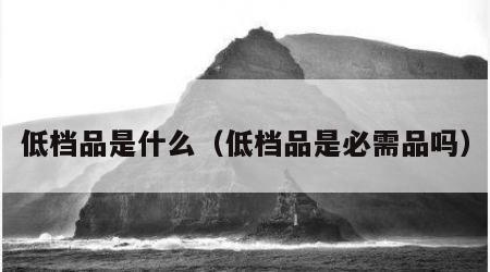 低档品是什么（低档品是必需品吗）