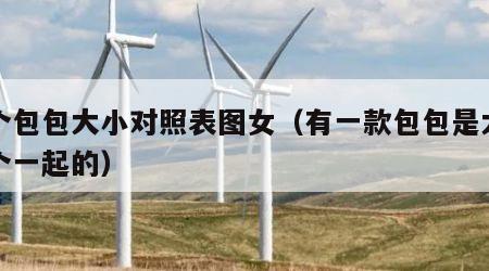 两个包包大小对照表图女（有一款包包是大小两个一起的）