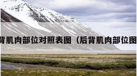 后背肌肉部位对照表图（后背肌肉部位图解）