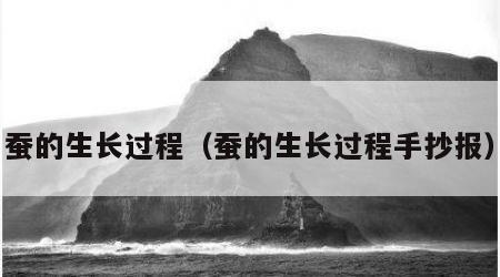 蚕的生长过程（蚕的生长过程手抄报）