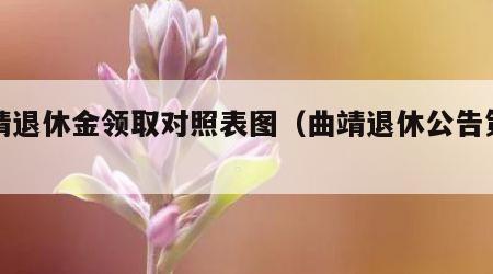 曲靖退休金领取对照表图（曲靖退休公告第二批）