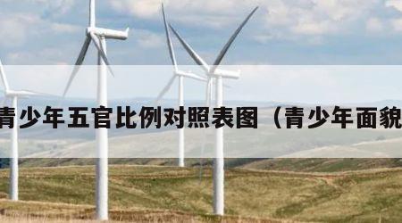 青少年五官比例对照表图（青少年面貌）