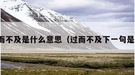 过而不及是什么意思（过而不及下一句是啥）
