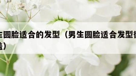 男生圆脸适合的发型（男生圆脸适合发型微分碎盖）