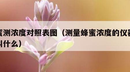 蜂蜜测浓度对照表图（测量蜂蜜浓度的仪器设备叫什么）