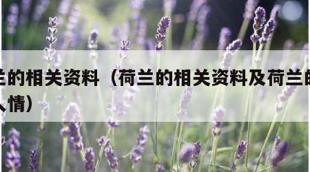 荷兰的相关资料（荷兰的相关资料及荷兰的风土人情）