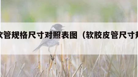 胶软管规格尺寸对照表图（软胶皮管尺寸规格）