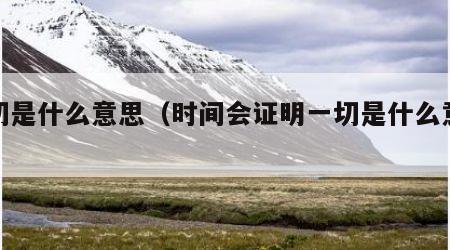 一切是什么意思（时间会证明一切是什么意思）
