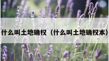 什么叫土地确权（什么叫土地确权本）