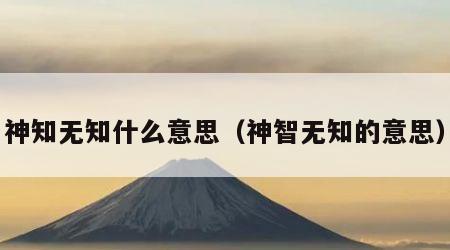 神知无知什么意思（神智无知的意思）