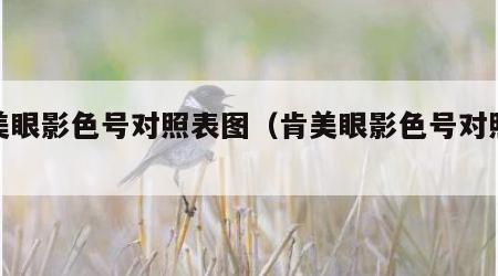 肯美眼影色号对照表图（肯美眼影色号对照表图）