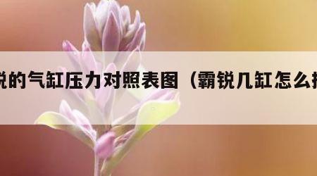 霸锐的气缸压力对照表图（霸锐几缸怎么排列）