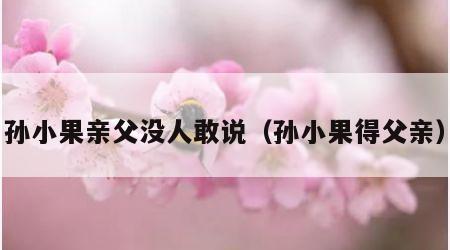 孙小果亲父没人敢说（孙小果得父亲）