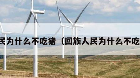 回民为什么不吃猪（回族人民为什么不吃猪）