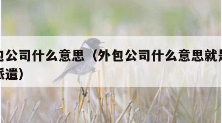 外包公司什么意思（外包公司什么意思就是劳务派遣）