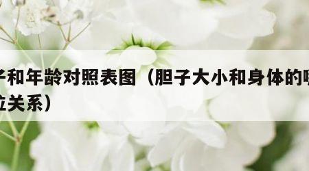 胆子和年龄对照表图（胆子大小和身体的哪个部位关系）