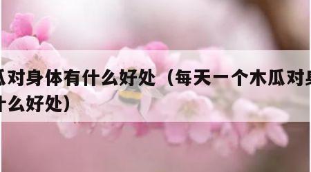 木瓜对身体有什么好处（每天一个木瓜对身体有什么好处）