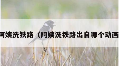 阿姨洗铁路（阿姨洗铁路出自哪个动画）