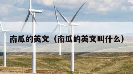 南瓜的英文（南瓜的英文叫什么）