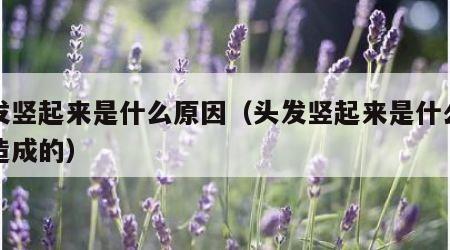 头发竖起来是什么原因（头发竖起来是什么原因造成的）