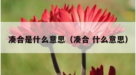 凑合是什么意思（凑合 什么意思）