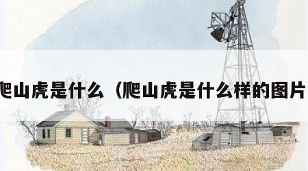 爬山虎是什么（爬山虎是什么样的图片）