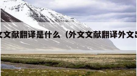 外文文献翻译是什么（外文文献翻译外文出处）
