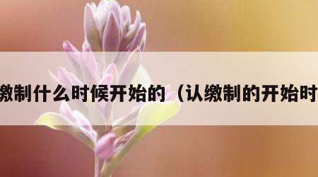 认缴制什么时候开始的（认缴制的开始时间）