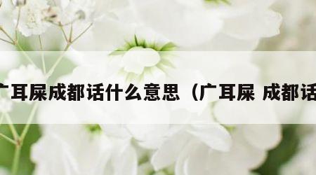 广耳屎成都话什么意思（广耳屎 成都话）