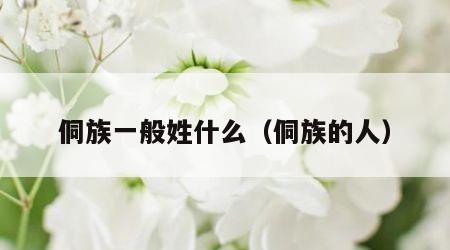 侗族一般姓什么（侗族的人）