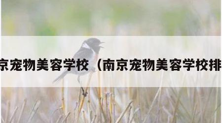 南京宠物美容学校（南京宠物美容学校排名）