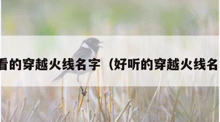 好看的穿越火线名字（好听的穿越火线名字）