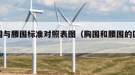 胸围与腰围标准对照表图（胸围和腰围的区别）