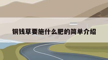 铜钱草要施什么肥的简单介绍