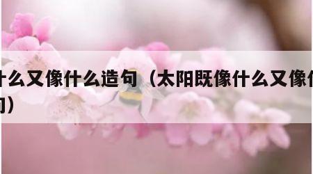 像什么又像什么造句（太阳既像什么又像什么造句）