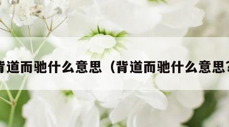 背道而驰什么意思（背道而驰什么意思?）