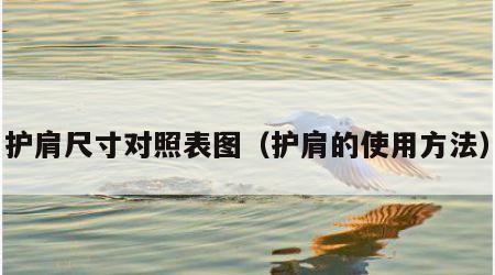 护肩尺寸对照表图（护肩的使用方法）