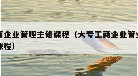工商企业管理主修课程（大专工商企业管业主修课程）
